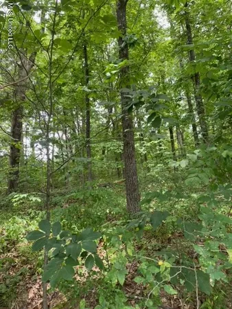 $49,900 | 8722 Bobwhite Drive, Hernando, MS 38632