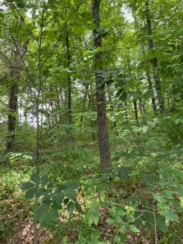 $49,900 | 8722 Bobwhite Drive, Hernando, MS 38632