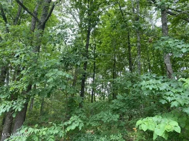 $49,900 | 8722 Bobwhite Drive, Hernando, MS 38632