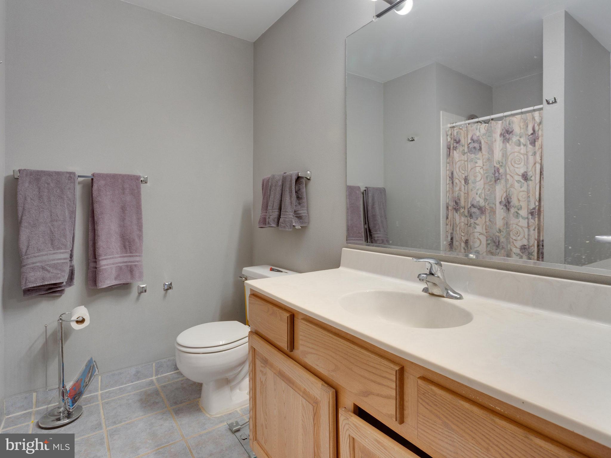 7726 Hickory Glen Way Springfield, VA 22153 - Photo 20 of 30 Bath (Master)