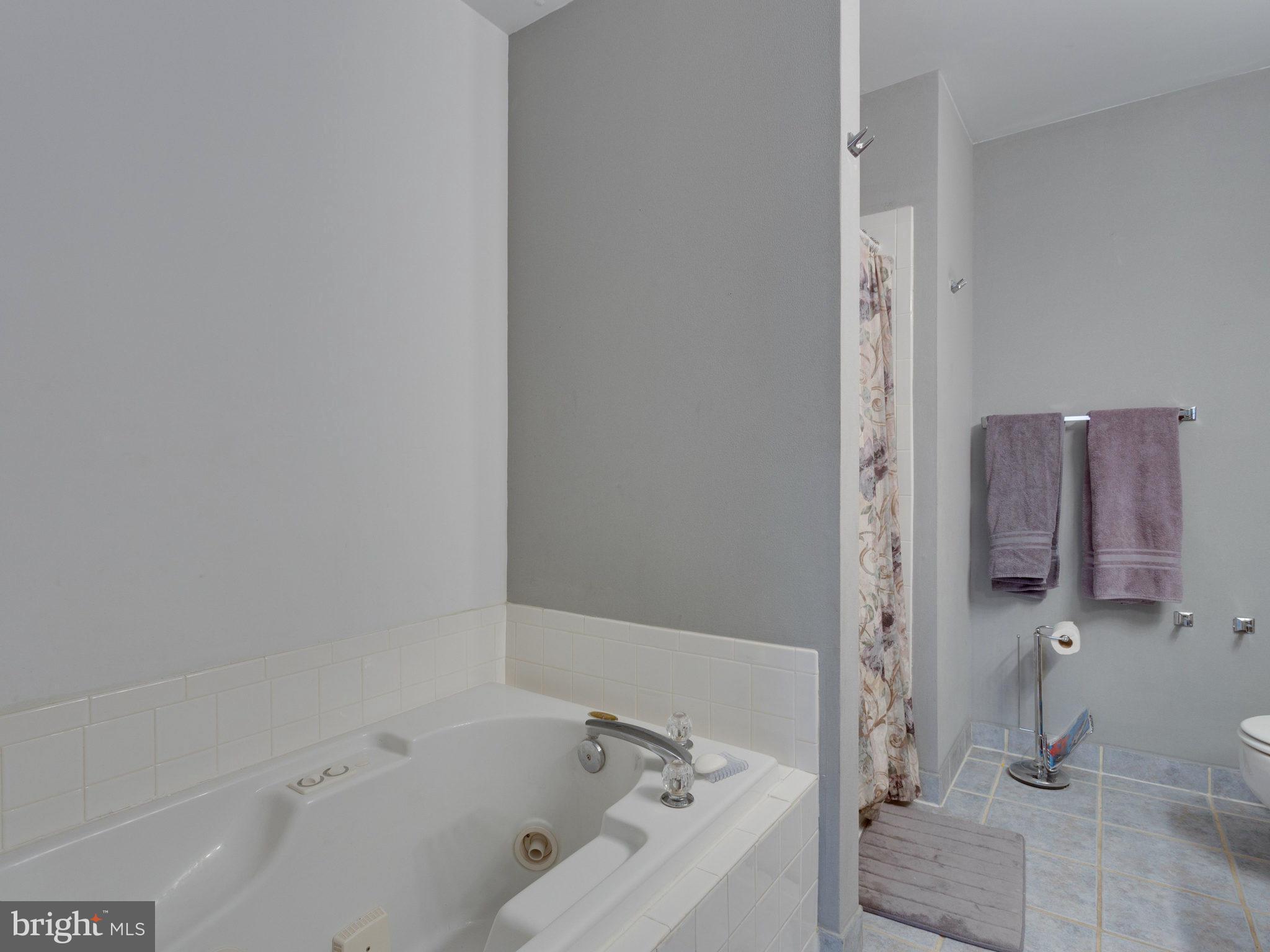 7726 Hickory Glen Way Springfield, VA 22153 - Photo 21 of 30 Bath (Master)
