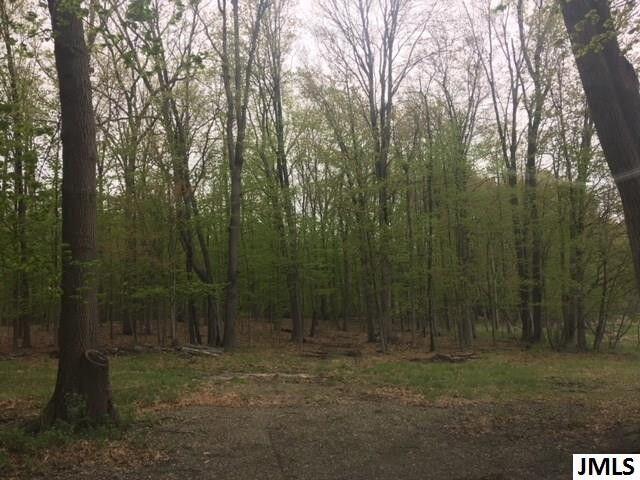 3002 Hatch Road Jackson, MI 49201 - Photo 3 of 6 hatch7