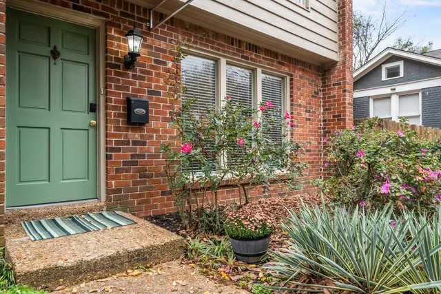 a view of a backyard with plants