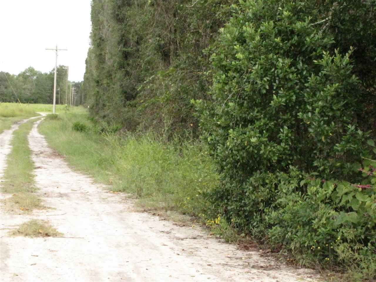 Baldwin Drive Lee, FL 32059 - Photo 2 of 2
