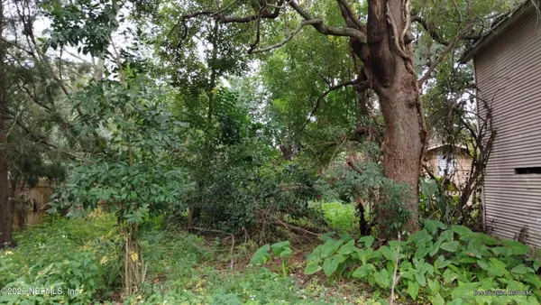 a view of a lush green forest
