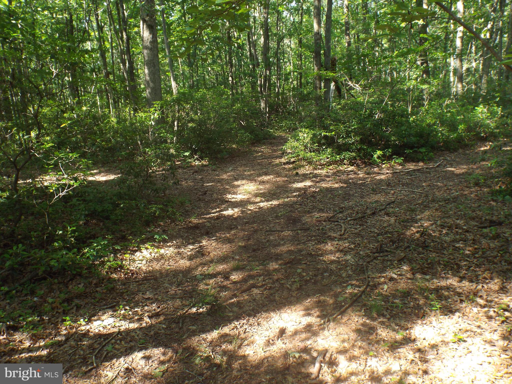 96 Bernhard Road Barnesville, PA 18214 - Photo 14 of 22 Gallery Image 14