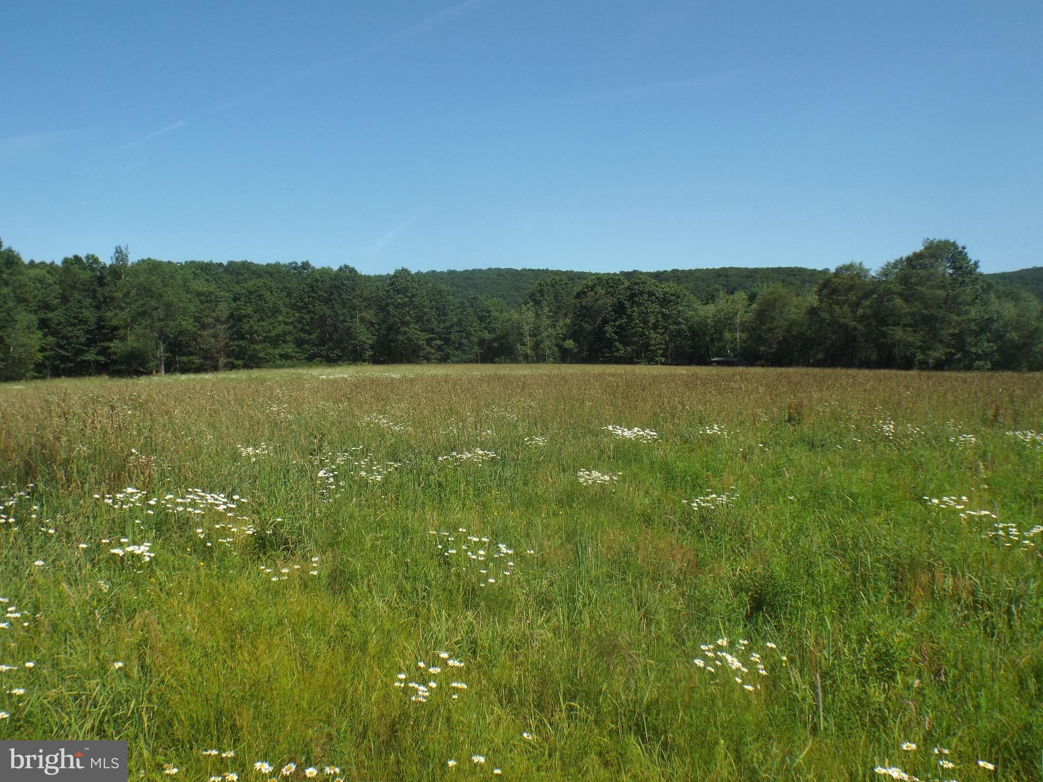 96 Bernhard Road Barnesville, PA 18214 - Photo 22 of 22 Gallery Image 22