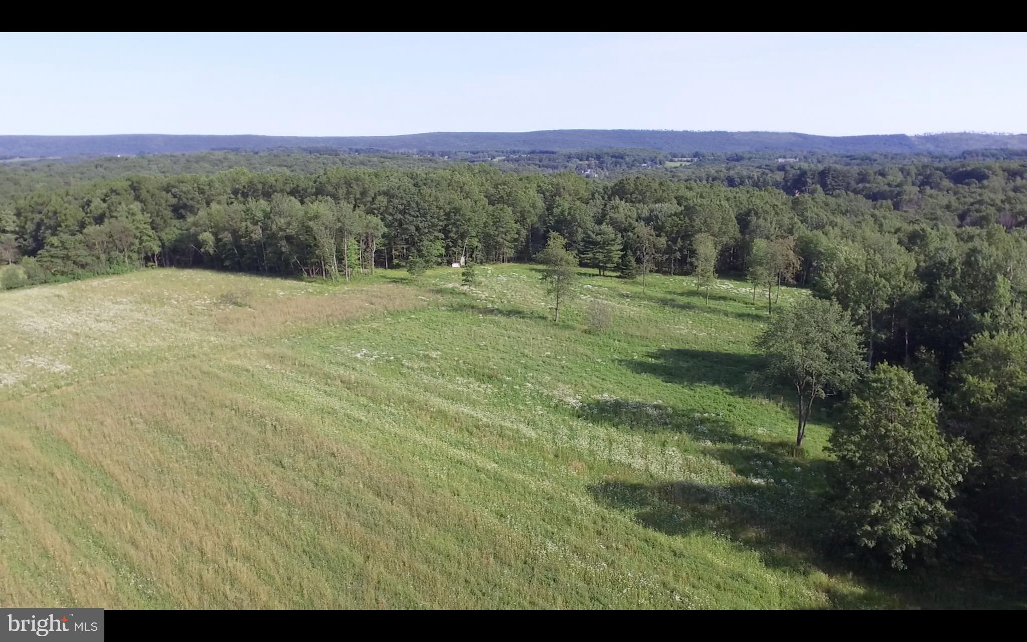 96 Bernhard Road Barnesville, PA 18214 - Photo 5 of 22 Gallery Image 5