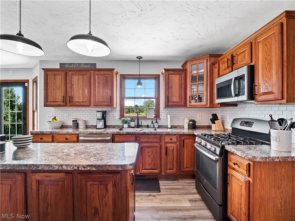 36890 Butternut Ridge Road North Ridgeville, OH 44039 - Photo 12 of 35 Gallery Image 12