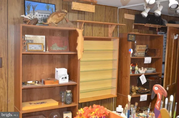 a close view of light