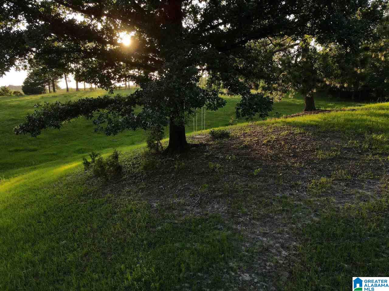 631 County Road 16 Clanton, AL 35045 - Photo 29 of 41