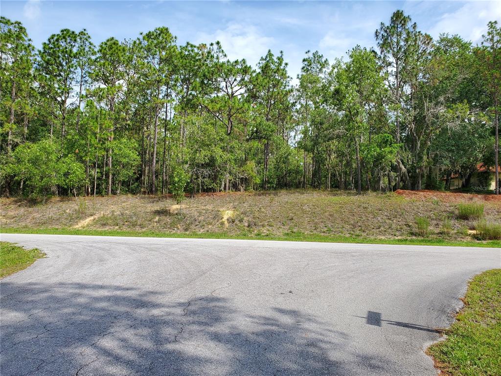 91 Southwest 202nd Avenue Road Dunnellon, FL 34431 - Photo 1 of 1 Gallery Image 1
