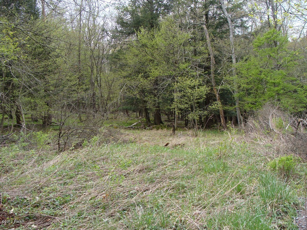 106 Sawmill Road Lake Ariel, PA 18436 - Photo 2 of 7 Gallery Image 2