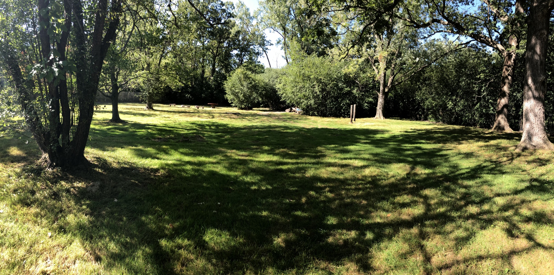 2640 Deerfield Road Riverwoods, IL 60015 - Photo 11 of 15 a view of a tree with a yard