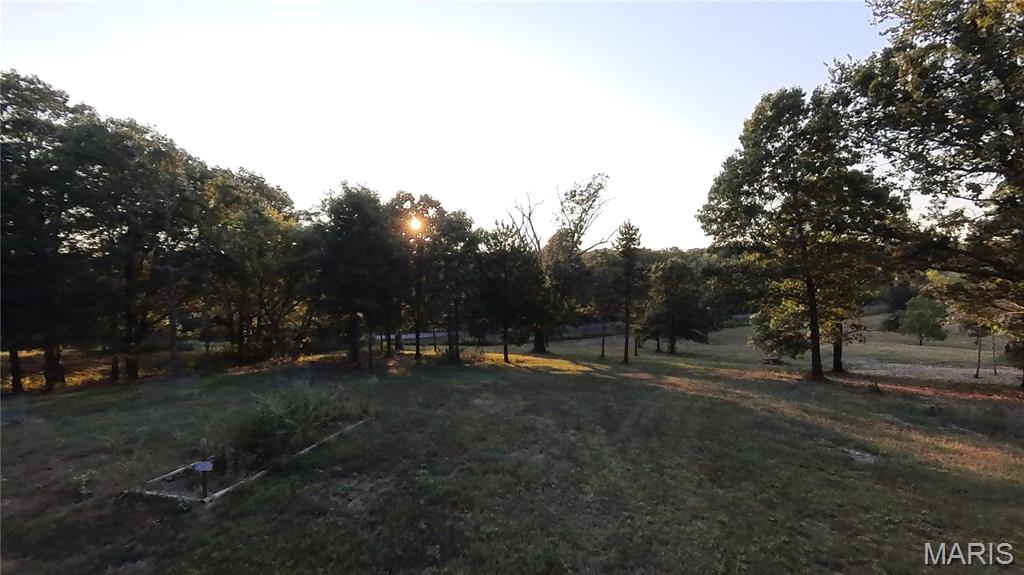 2887 County Road 5620 Willow Springs, MO 65793 - Photo 22 of 62