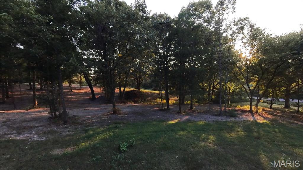 2887 County Road 5620 Willow Springs, MO 65793 - Photo 23 of 62