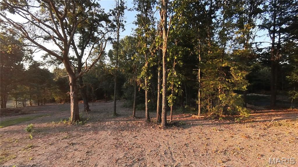 2887 County Road 5620 Willow Springs, MO 65793 - Photo 27 of 62