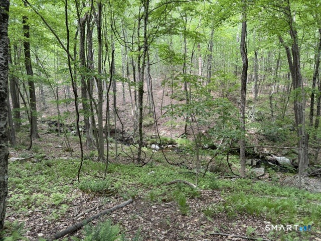 Lot10-b1 Foot Hills Road Higganum, CT 06441 - Photo 18 of 33 a view of yard