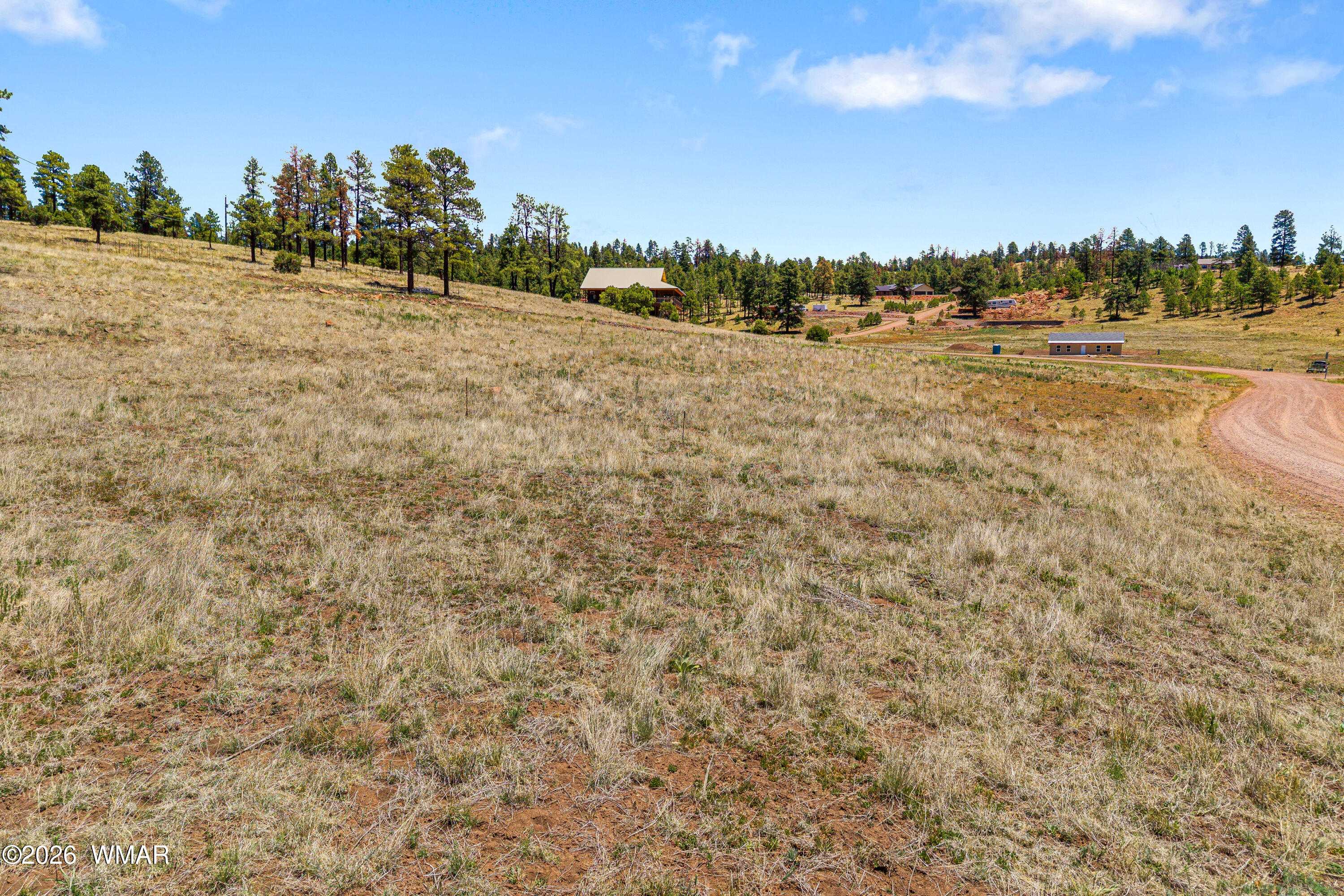 32 The Ranch Alpine, AZ 85920 - Photo 6 of 19 a view of an outdoor space and a yard