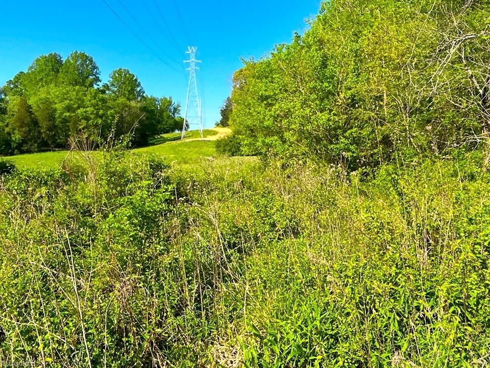 0 Milling Road Mocksville, NC 27028 - Photo 21 of 23 Gallery Image 21