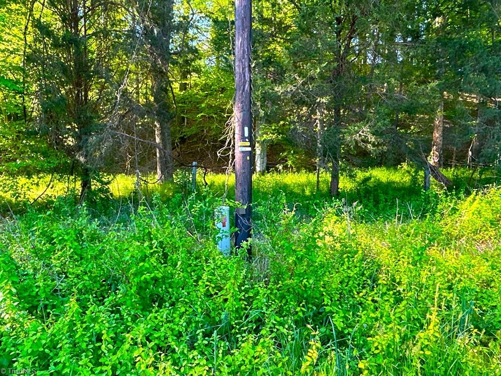0 Milling Road Mocksville, NC 27028 - Photo 7 of 23 Gallery Image 7