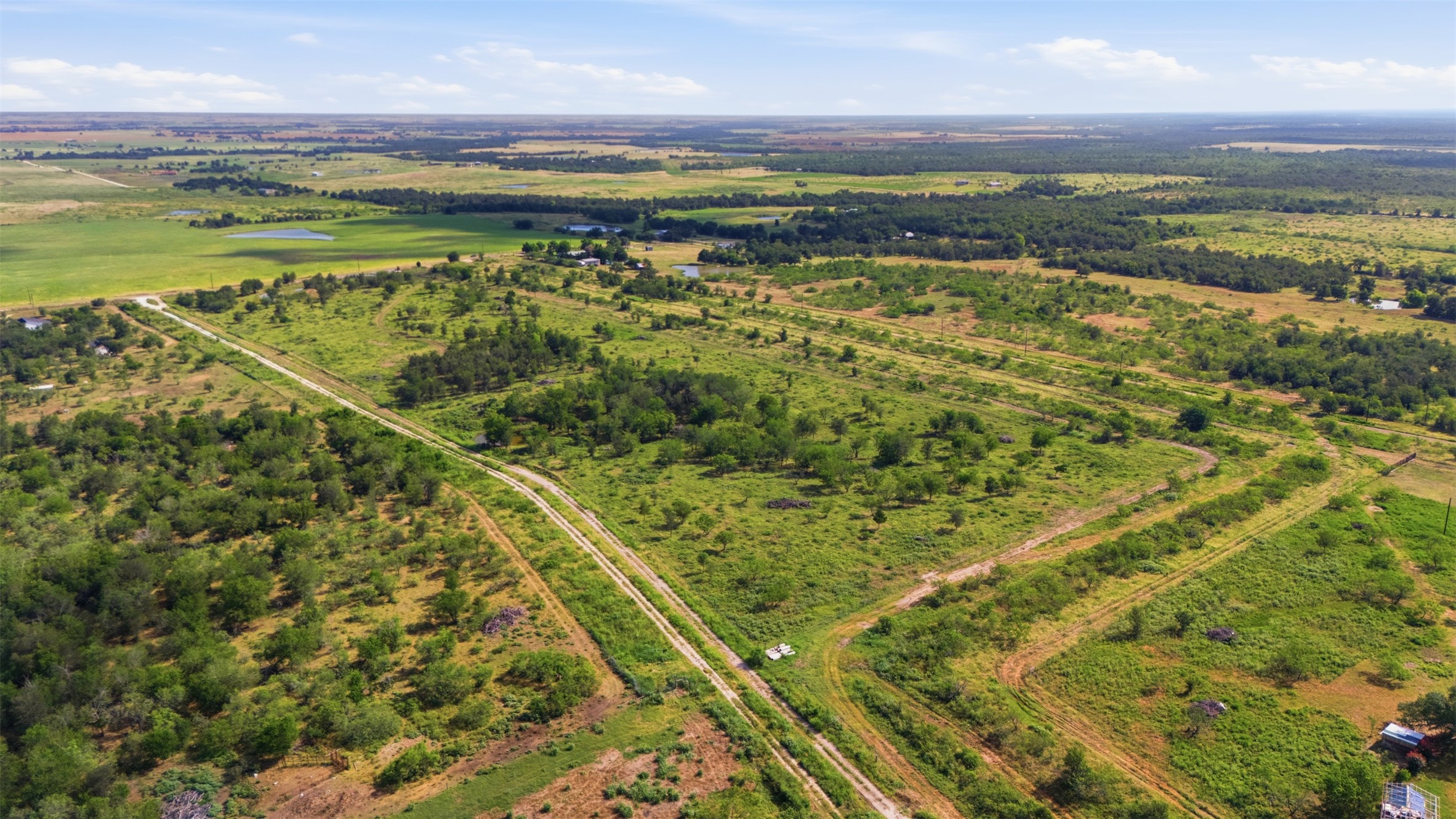 3280 County Road 466 Elgin, TX 78621 - Photo 6 of 13 Vast green landscape with scattered trees and natural clearings awaits your vision.