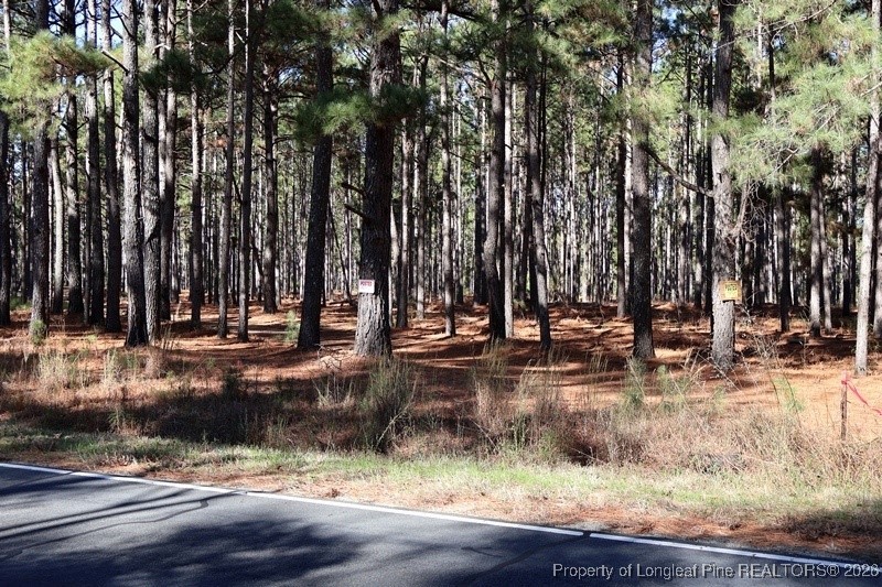 Stuarts Mill Road Rowland, NC 28383 - Photo 11 of 15 Gallery Image 11