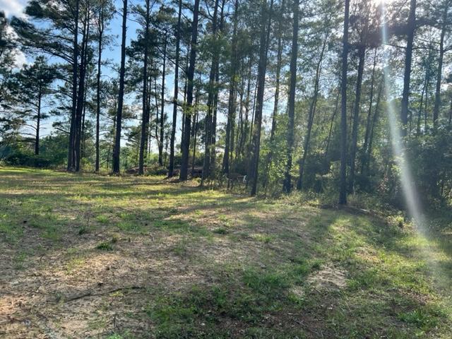 1055 North Quail Path Road Santee, SC 29142 - Photo 3 of 5 Lucretia2