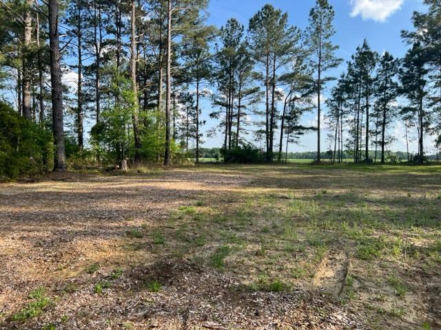 1055 North Quail Path Road Santee, SC 29142 - Photo 4 of 5 lucretia3