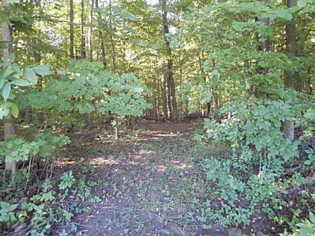 1247 South Kelso Road Pittsford, MI 49271 - Photo 51 of 72 DSCN7252