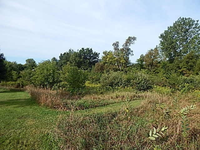 1247 South Kelso Road Pittsford, MI 49271 - Photo 54 of 72 DSCN7273