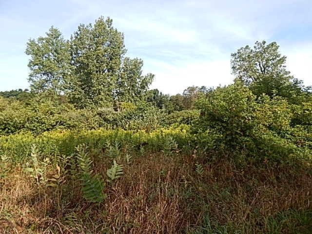 1247 South Kelso Road Pittsford, MI 49271 - Photo 55 of 72 DSCN7274