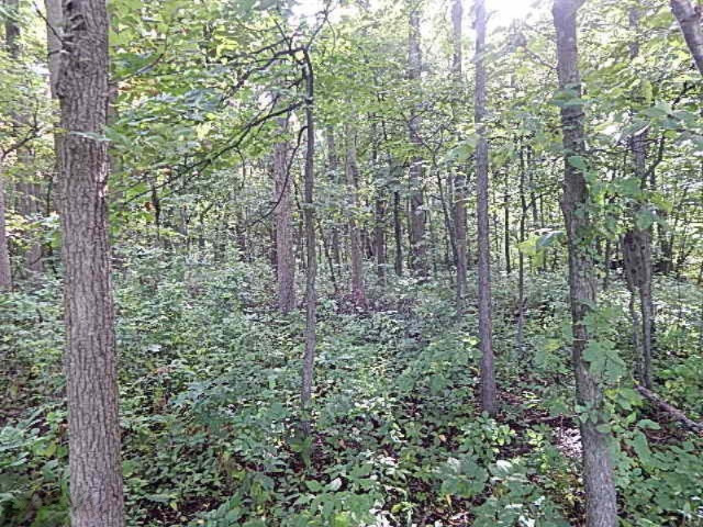 1247 South Kelso Road Pittsford, MI 49271 - Photo 56 of 72 DSCN7275