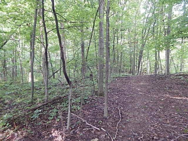 1247 South Kelso Road Pittsford, MI 49271 - Photo 57 of 72 DSCN7276