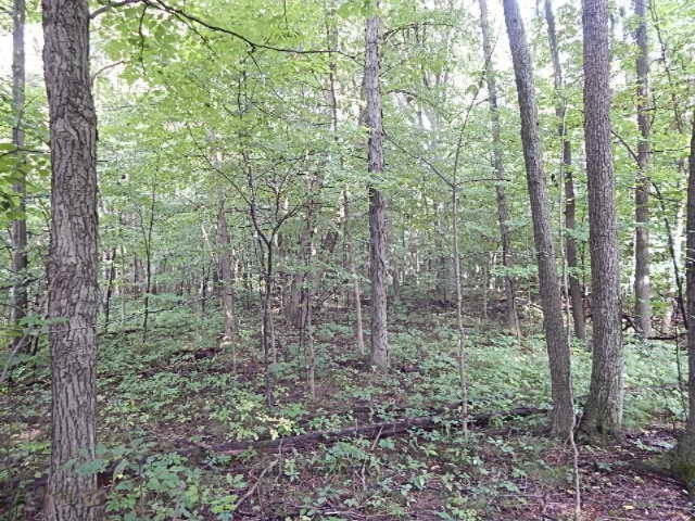 1247 South Kelso Road Pittsford, MI 49271 - Photo 58 of 72 DSCN7277