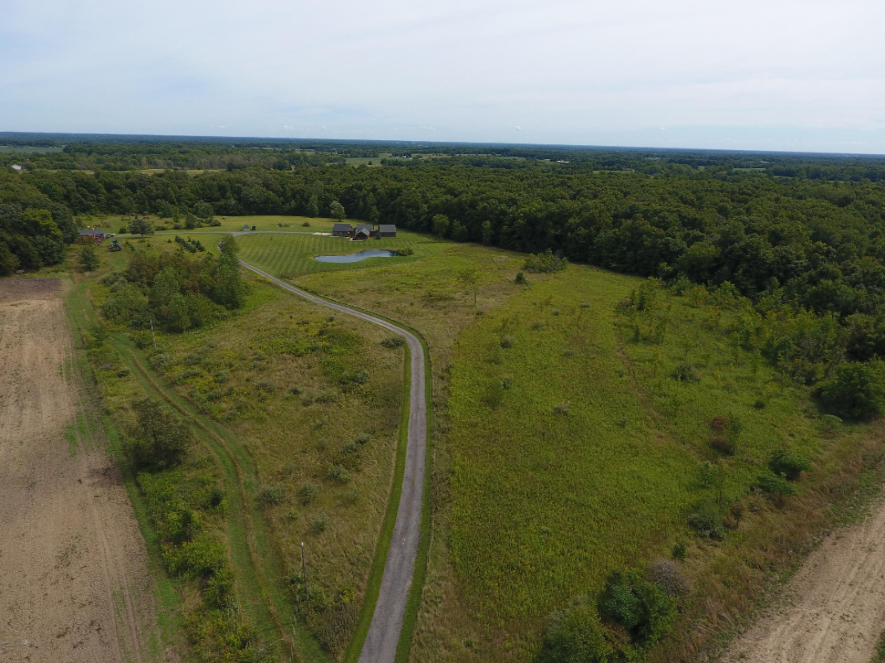 1247 South Kelso Road Pittsford, MI 49271 - Photo 59 of 72 DJI_0001