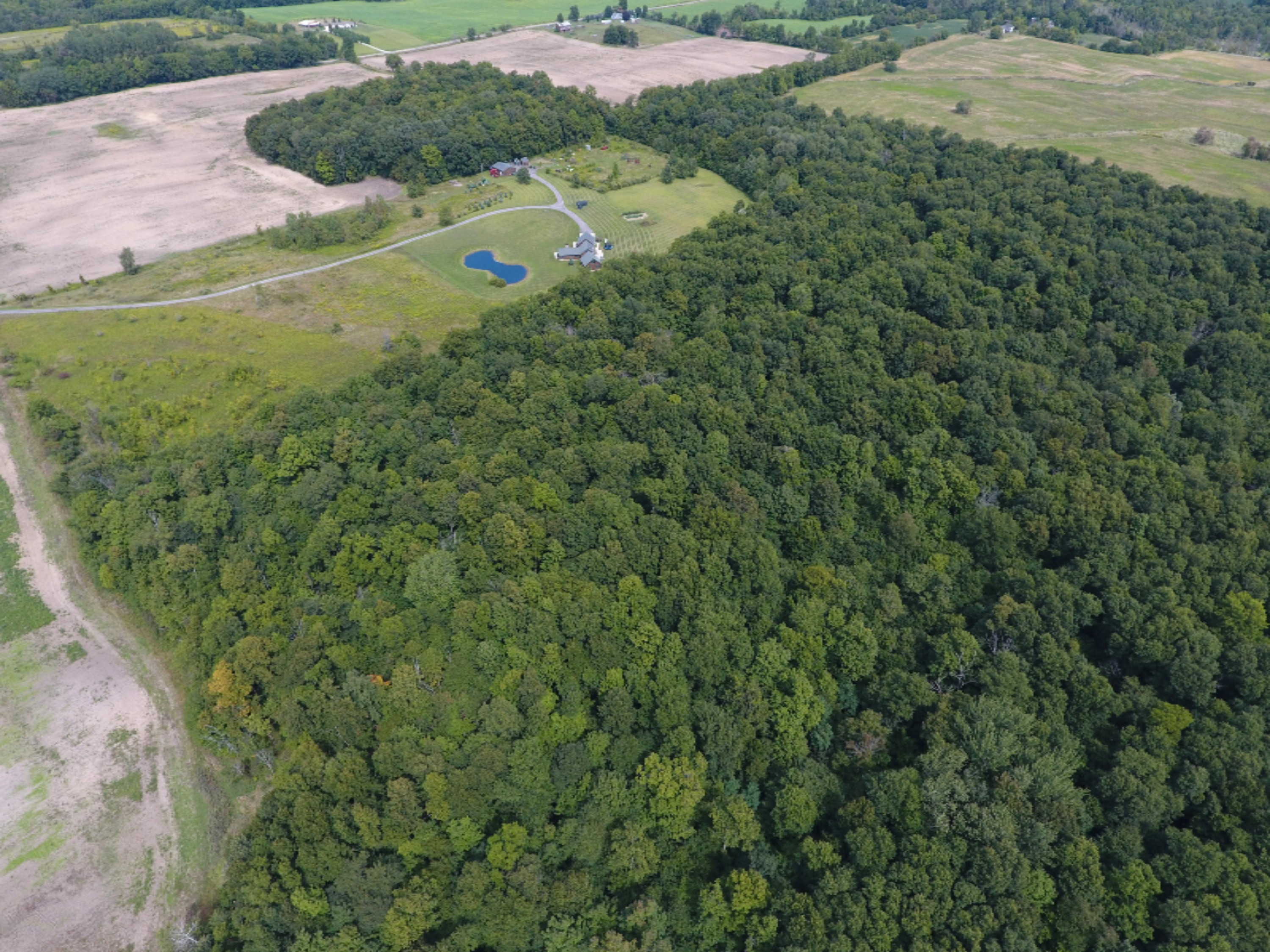 1247 South Kelso Road Pittsford, MI 49271 - Photo 61 of 72 DJI_0003