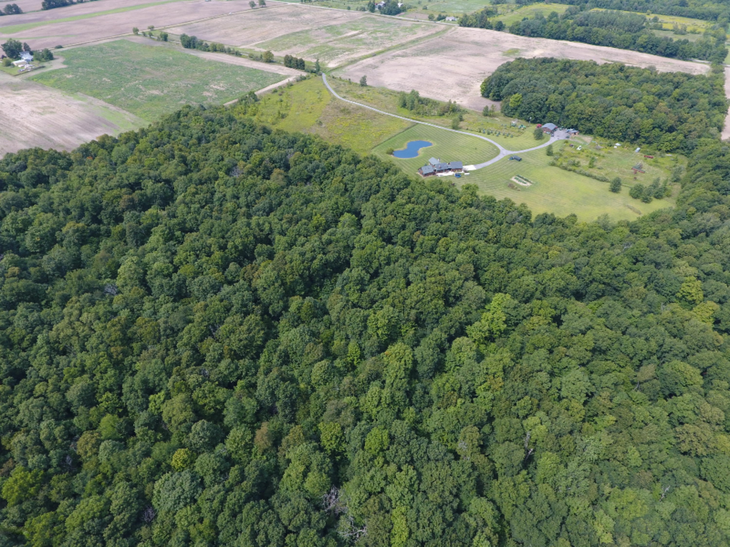 1247 South Kelso Road Pittsford, MI 49271 - Photo 62 of 72 DJI_0004