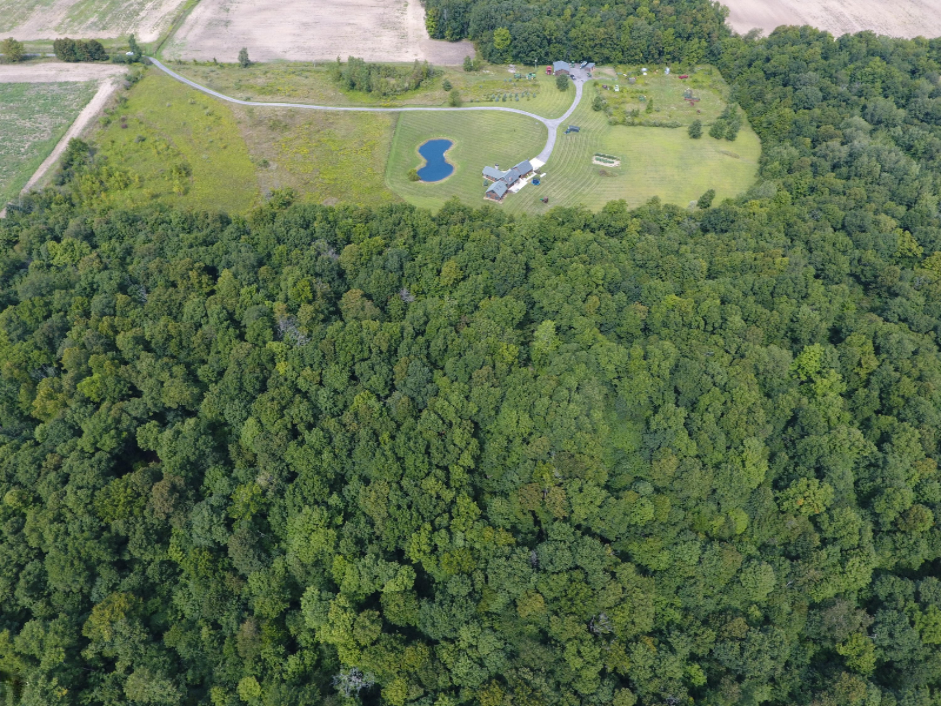 1247 South Kelso Road Pittsford, MI 49271 - Photo 63 of 72 DJI_0005