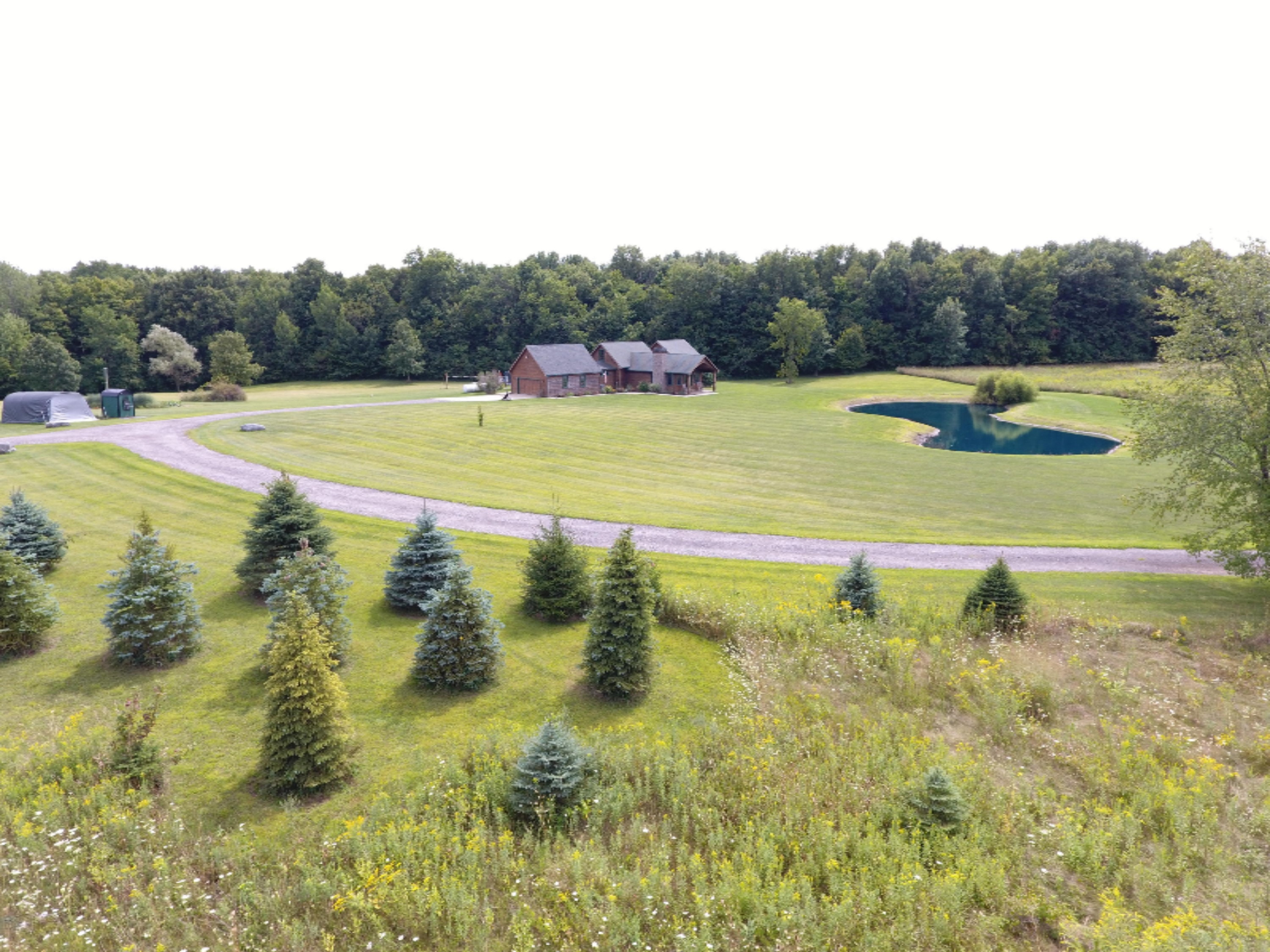 1247 South Kelso Road Pittsford, MI 49271 - Photo 68 of 72 DJI_0011
