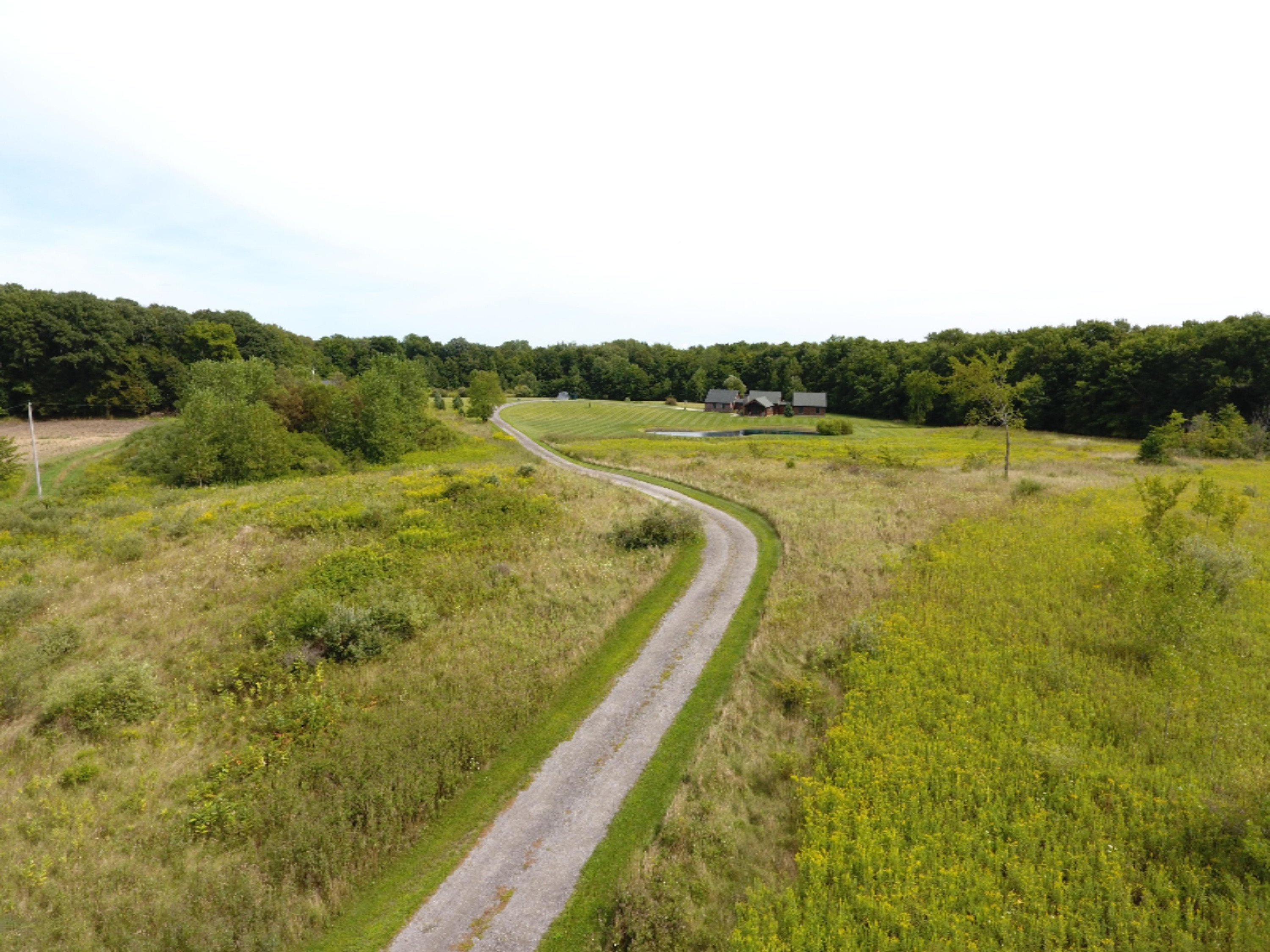 1247 South Kelso Road Pittsford, MI 49271 - Photo 70 of 72 DJI_0013