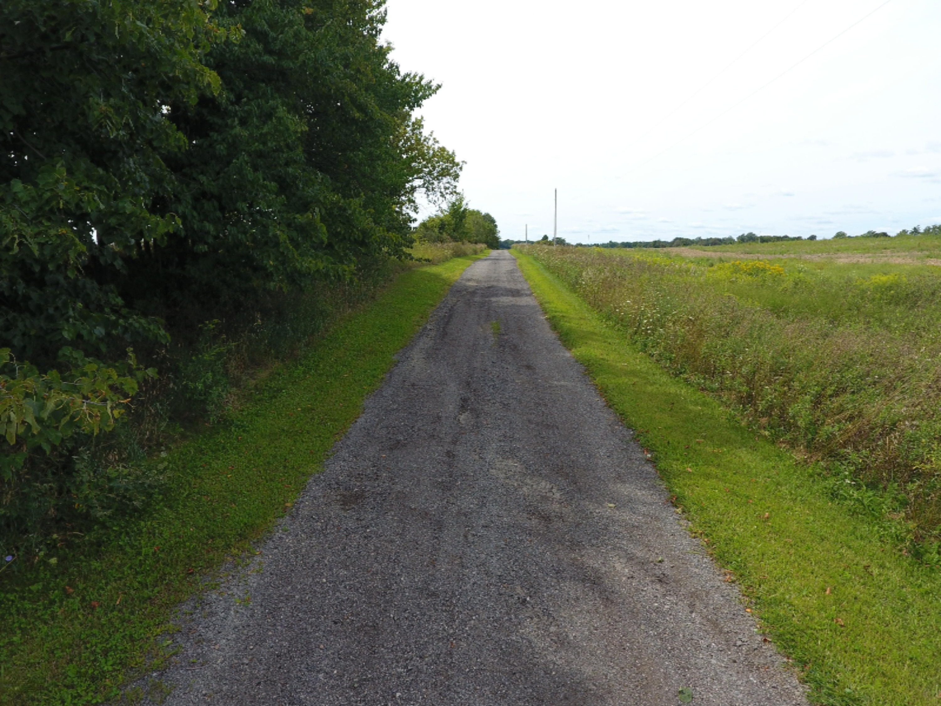 1247 South Kelso Road Pittsford, MI 49271 - Photo 71 of 72 DJI_0014