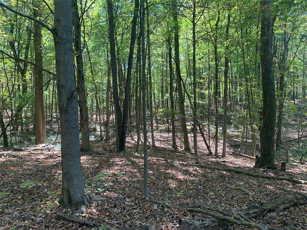 19345 Ridge Road North Royalton, OH 44133 - Photo 27 of 47 View of undeveloped land