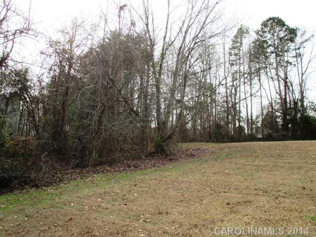 0 Old Tara Lane Fort Mill, SC 29708 - Photo 3 of 7