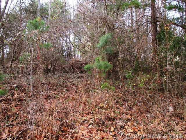 0 Old Tara Lane Fort Mill, SC 29708 - Photo 4 of 7