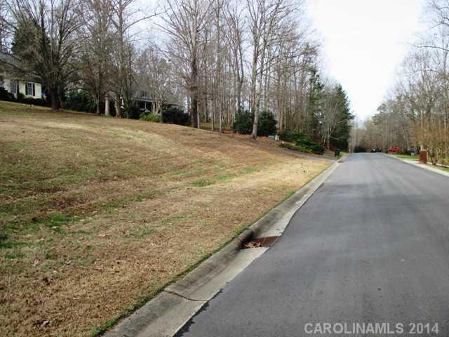 0 Old Tara Lane Fort Mill, SC 29708 - Photo 5 of 7