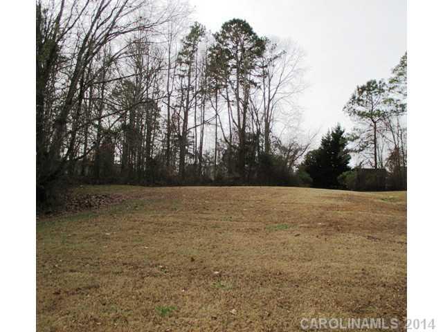 0 Old Tara Lane Fort Mill, SC 29708 - Photo 7 of 7