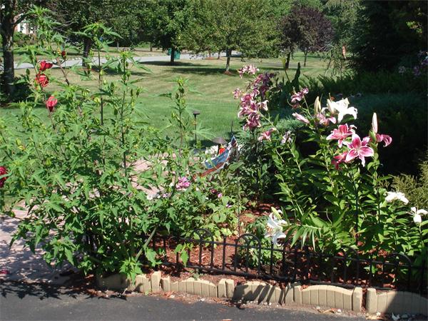 27 Smith Road Mansfield, MA 02048 - Photo 24 of 28 Gallery Image 24