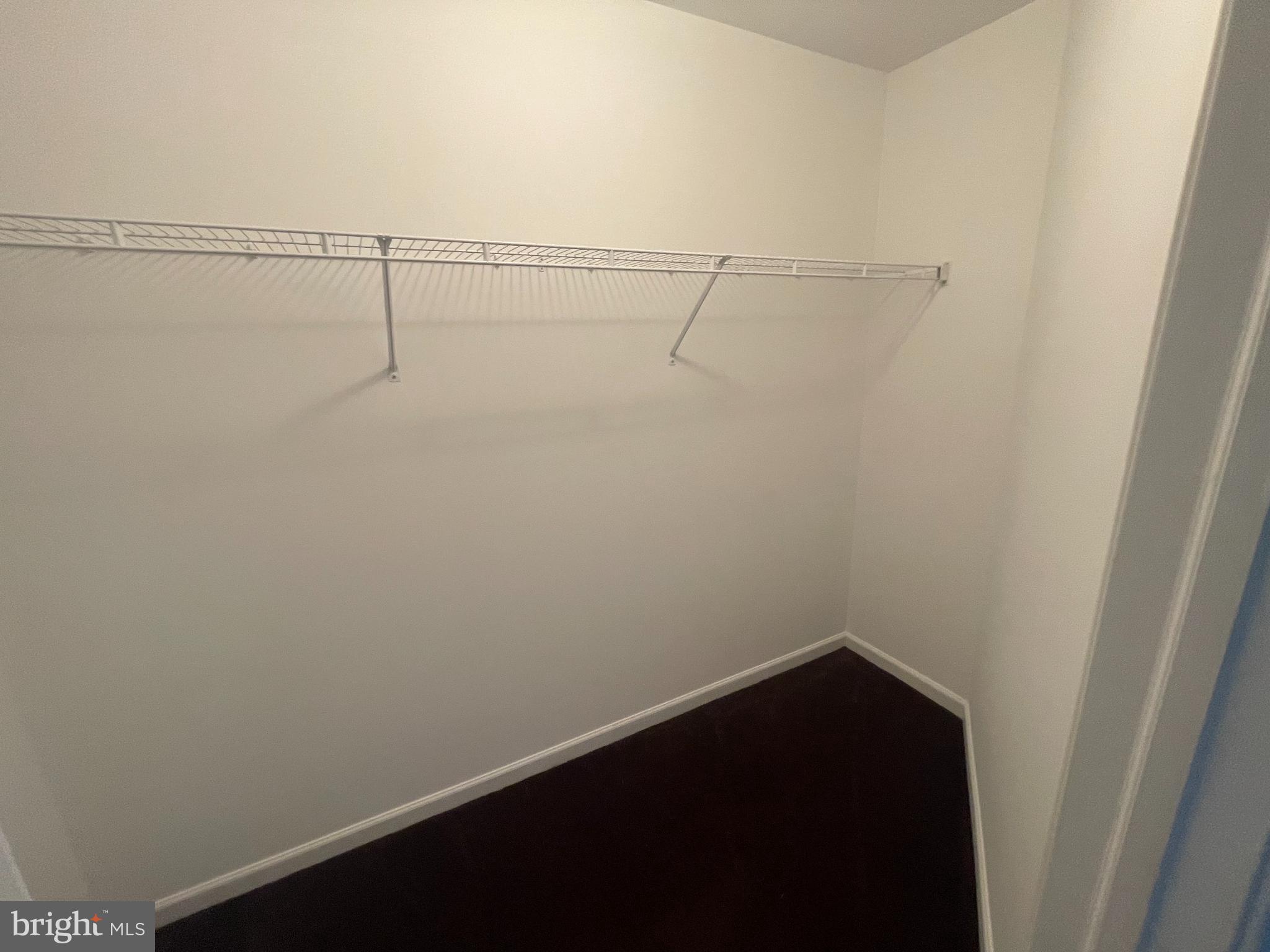 115 Springbrook Court Lancaster, PA 17603 - Photo 11 of 20 Spacious closet ready for organization.