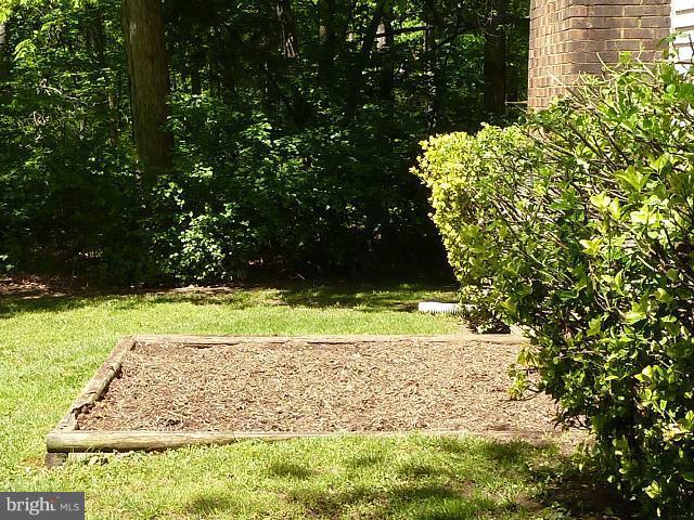 12351 Lima Lane Reston, VA 20191 - Photo 1 of 28 a view of a yard with large trees